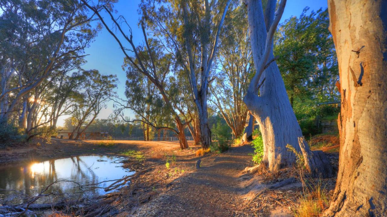 Moama Riverside Holiday Park Eksteriør bilde